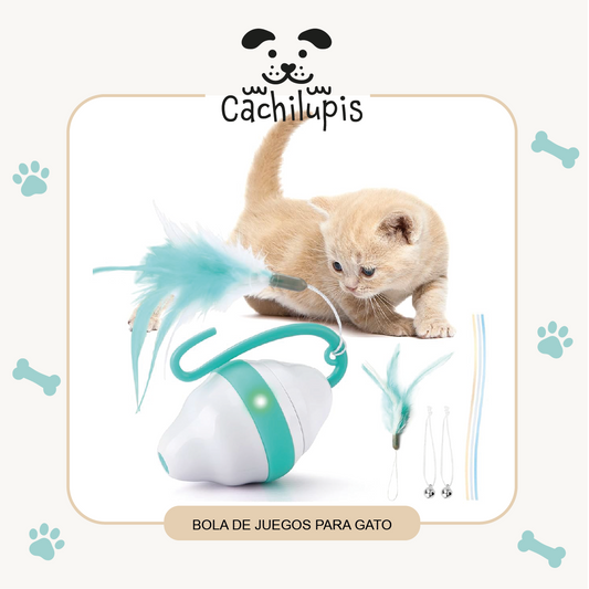 BOLA DE JUEGOS PARA GATO