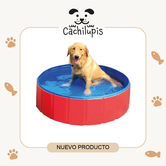 Piscina Plegable Para Mascota 80x20 cm